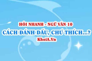 Cách đánh dấu phần bị tỉnh lược trong văn bản? Ngữ Văn lớp 10